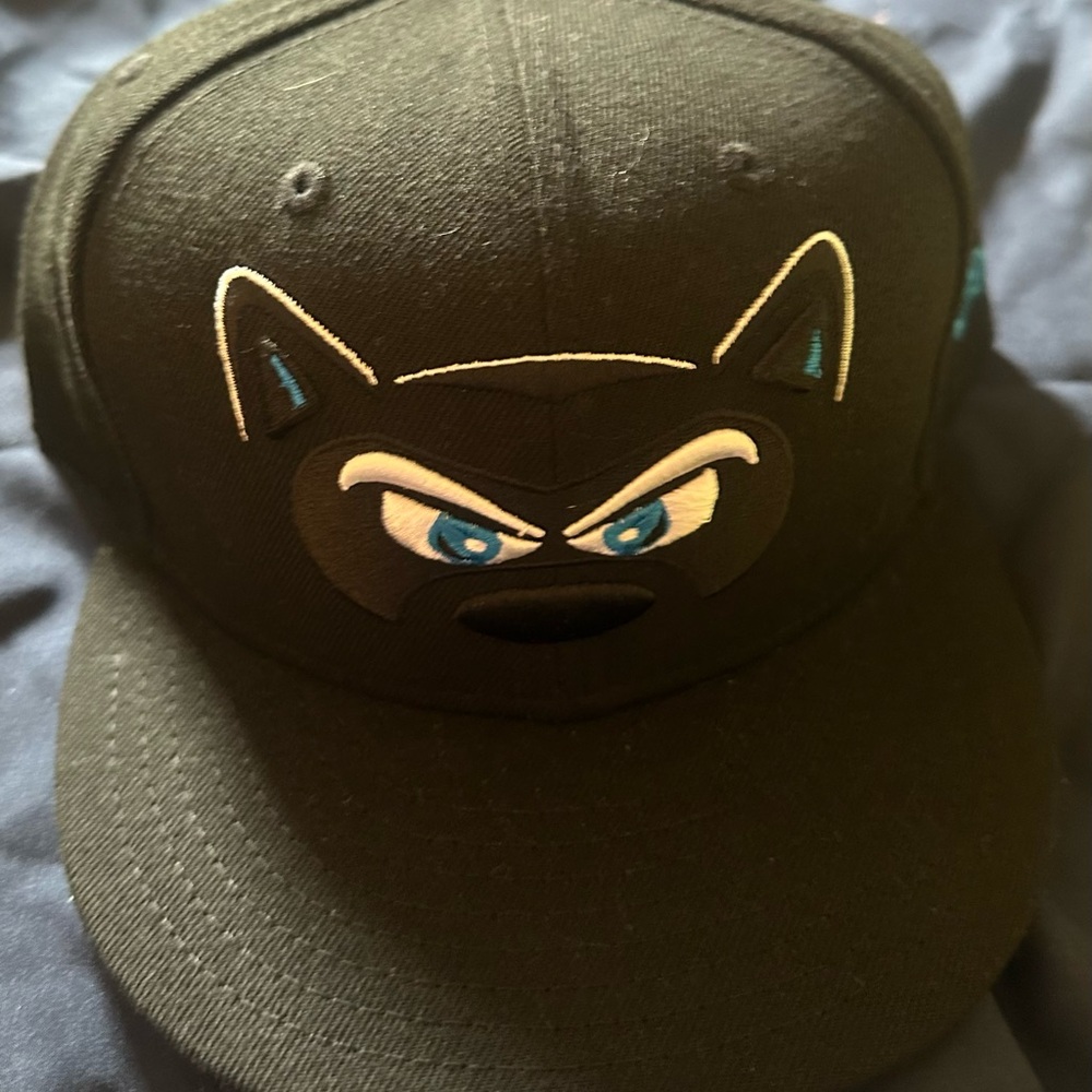 Hudson Valley Renegades Hat